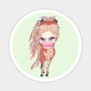 APPALOOSA Magnet